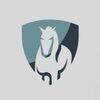 greyfinds28